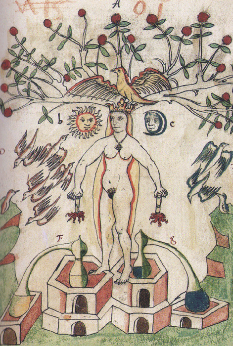 Image result for el libro de voynich